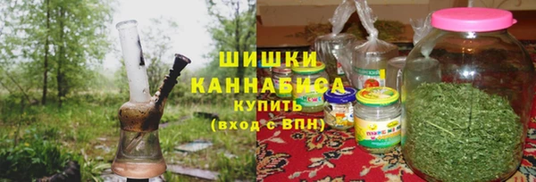 PSILOCYBIN Няндома