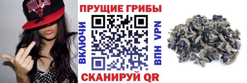 Псилоцибиновые грибы прущие грибы  купить   Алагир 